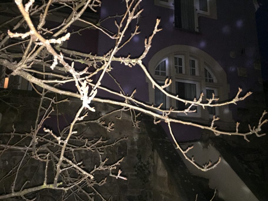 Adventszeit